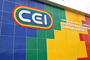 O Centro de Educa&ccedil;&atilde;o Infantil (CEI) Professora Rosenilda Correia Oliveira. 