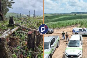 Opera&ccedil;&atilde;o Mata Atl&acirc;ntica em P&eacute; 2026