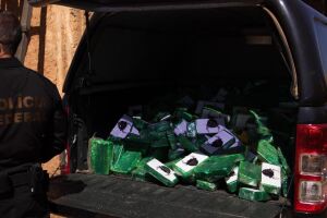 A Pol&iacute;cia Federal realizou, nesta quinta-feira, 6 de agosto, a incinera&ccedil;&atilde;o de aproximadamente 500 quilos de coca&iacute;na. 