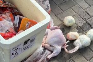 Uma carga de frangos congelados transportada em um voo procedente do Recife.