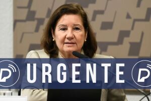 Maria Luiza Viotti, embaixadora do Brasil nos EUA