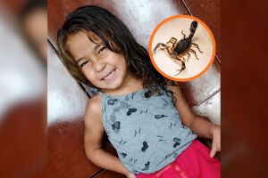 Jamily Vit&oacute;ria Duarte tinha 5 anos de idade.