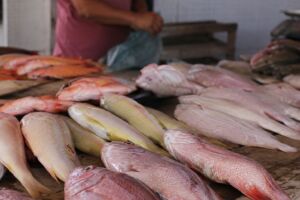 Mercad&atilde;o do Cabo de Santo Agostinho.