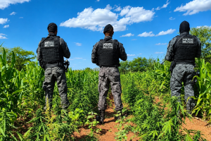 Opera&ccedil;&atilde;o da Pol&iacute;cia Militar de Pernambuco.