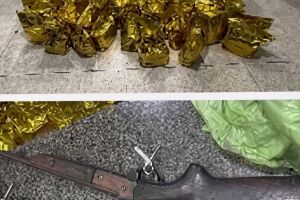 Pol&iacute;cia Militar apreende 65 kg de maconha e duas armas em &aacute;rea de mata em Camaragibe.
