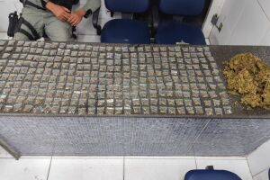 Policiais militares do 12&ordm; Batalh&atilde;o da Pol&iacute;cia Militar (BPM) apreenderam 290 por&ccedil;&otilde;es de maconha.