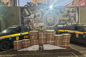 PRF e Pol&iacute;cia Civil apreendem cerca de uma tonelada de maconha em caminh&atilde;o em Igarassu.