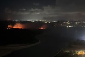 Um inc&ecirc;ndio atingiu uma &aacute;rea de vegeta&ccedil;&atilde;o na Ilha do Amor.