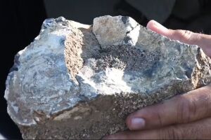 F&oacute;ssil de medula de pregui&ccedil;a-gigante &eacute; encontrado em s&iacute;tio de Caruaru.