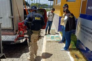 A fiscaliza&ccedil;&atilde;o constatou ainda que o motorista que transportava a carga n&atilde;o possu&iacute;a CNH.