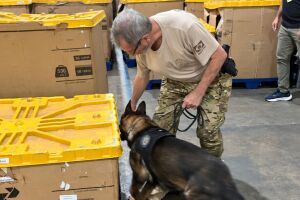 Opera&ccedil;&atilde;o usou c&atilde;o farejador para encontrar o material il&iacute;cito.