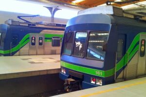 Metr&ocirc; do Recife: Linha Centro tem previs&atilde;o de retorno ao meio-dia ap&oacute;s queda de &aacute;rvore.