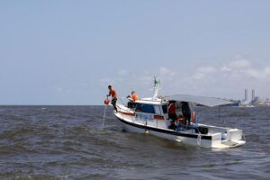 Monitoramento cient&iacute;fico de tubar&otilde;es no litoral da Regi&atilde;o Metropolitana do Recife.