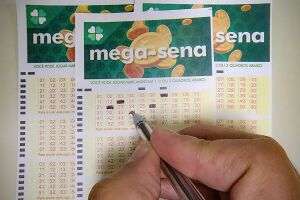 Cartela da Mega-sena