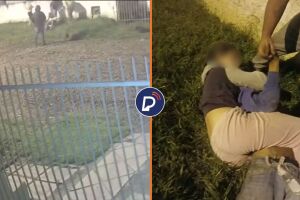 Adolescente de 14 anos imobiliza suspeito.