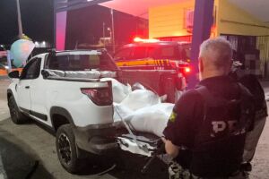 Homem &eacute; detido com 31 kg de maconha escondidos em fardos de ra&ccedil;&atilde;o na BR-232, em Sert&acirc;nia.