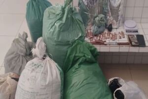 Pernambuco: casal &eacute; detido com mais de 56 kg de maconha na zona rural de Tuparetama.
