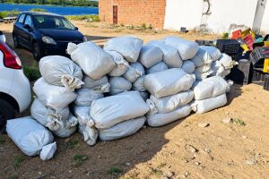 PRF apreende 323 kg de maconha escondidos em carga de verduras na BR-116, na Bahia.