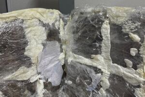 Pol&iacute;cia Federal prende mulher com 33,9 kg de skank no Aeroporto do Recife.