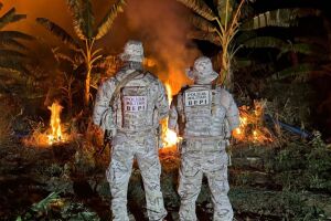 Pol&iacute;cia Militar prende seis homens e uma mulher em opera&ccedil;&atilde;o contra cultivo de maconha no Sert&atilde;o de Pernambuco.
