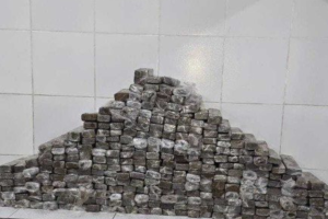 283 quilos de maconha apreendidos