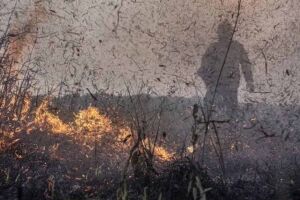 Inc&ecirc;ndio na Amaz&ocirc;nia.