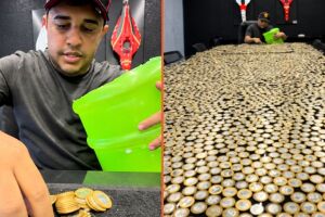 O comprador havia acumulado as moedas durante anos.