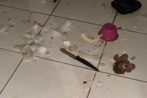 Itens de cozinha foram encontrados quebrados e revirados no im&oacute;vel.