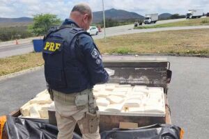 A vistoria no ve&iacute;culo constatou a carga aliment&iacute;cia transportada de forma irregular.