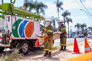 Neoenergia realiza a&ccedil;&atilde;o contra roubo de energia