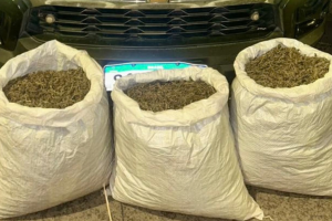 POL&Iacute;CIA MILITAR APREENDE MAIS DE 20 KG DE MACONHA NO SERT&Atilde;O 