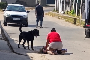 Rottweiler ataca crian&ccedil;a e av&oacute; 