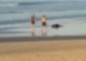 Militar do Ex&eacute;rcito persegue e mata suspeito ap&oacute;s assalto na praia.