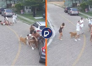 C&acirc;meras flagram briga generalizada entre jogadores do Fortaleza e vizinhos em condom&iacute;nio de luxo