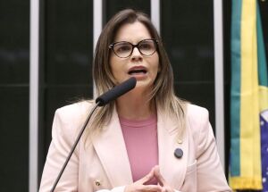 Clarissa T&eacute;rcio, deputada federal