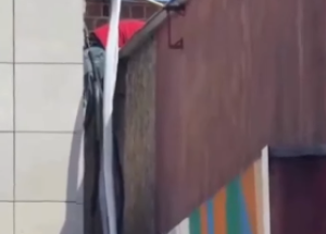 Homem morre ap&oacute;s descarga el&eacute;trica em escola municipal no Recife