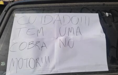 Aviso deixado no carro alertando sobre cobra no motor.