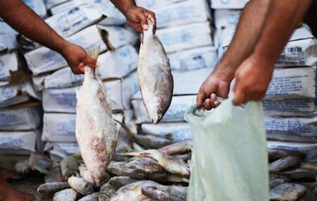 Venda de peixe em feira.