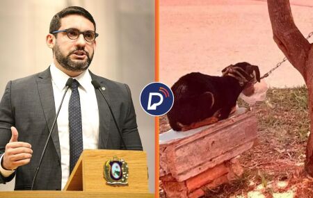 Deputado Romero Albuquerque.