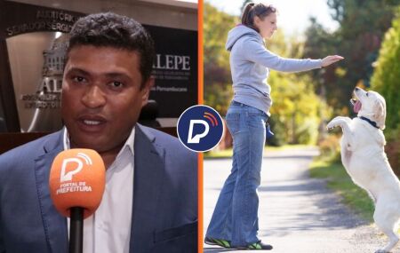 Projeto que pro&iacute;be viol&ecirc;ncia contra animais vai ofertar c&oacute;digo de prote&ccedil;&atilde;o voltado ao adestramento.