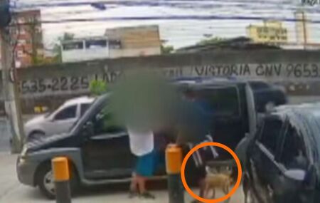 "C&atilde;oparsa": dupla formada por homem e cachorro caramelo s&atilde;o flagrados assaltando no Rio de Janeiro