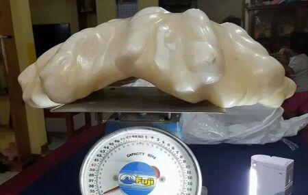 P&eacute;rola encontrada. 