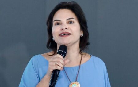 Governadora em exerc&iacute;cio Priscila Krause.