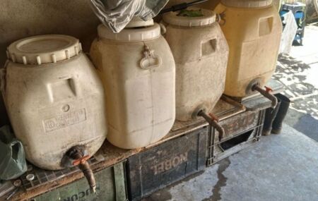 Gal&otilde;es apreendidos pela pol&iacute;cia.