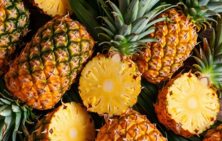 A maior fazenda de abacaxi do mundo fica em Taboc&atilde;o no Tocantins. 