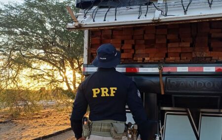 Agente da PRF apreendendo carga com madeira.