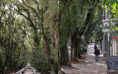 Descubra a Rua Gon&ccedil;alo de Carvalho, em Porto Alegre, considerada a mais bonita do mundo. 