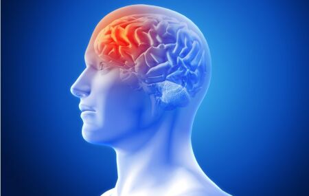 Meningite Meningoc&oacute;cica no Brasil