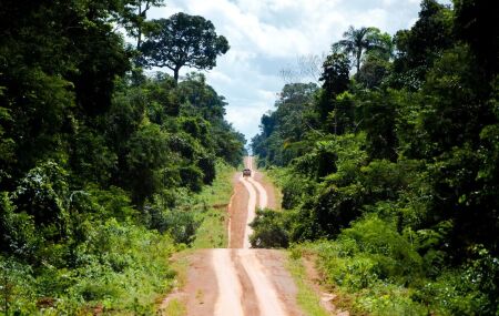 Amazonia compartilhada 