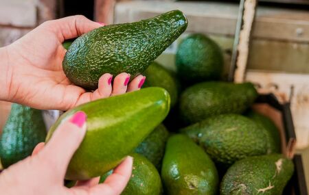 Aprenda a fazer um fertilizante caseiro simples e poderoso para o abacateiro. 